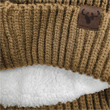 Arctic Beanie