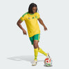 Bafana Bafana 2026 Replica Jersey - SAFA HOME