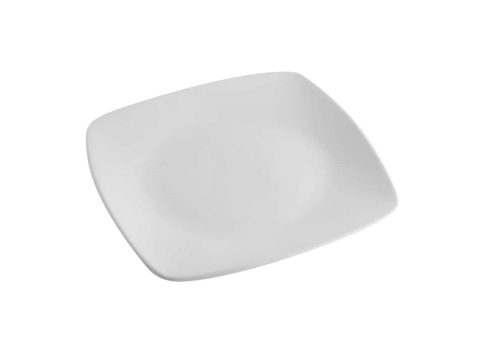 Plate 29x29cm Square Evolution Continental China