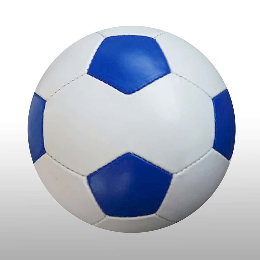 Size 5 – .Blue & White Soccer Ball, Double Panel