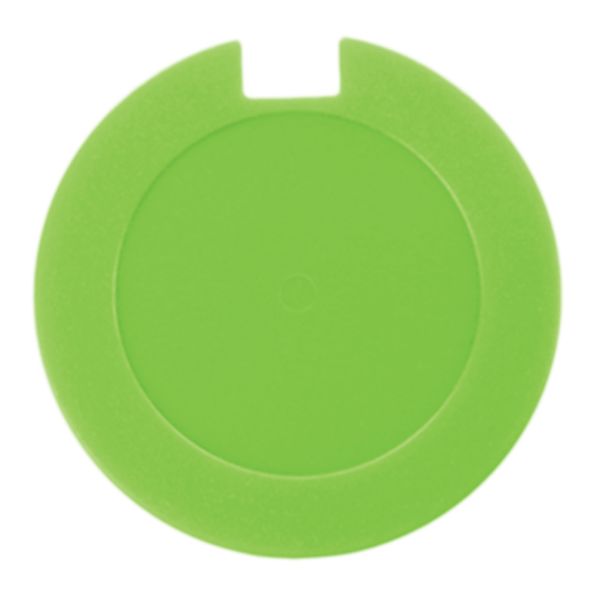 License Disk Holders - FREE BRANDING