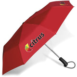 Whimsical Auto-Open Compact Umbrella RED